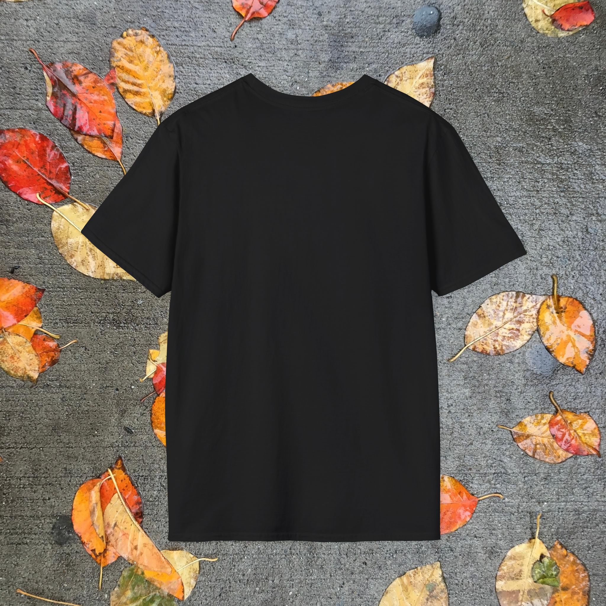 13542982660503546114_2048_custom